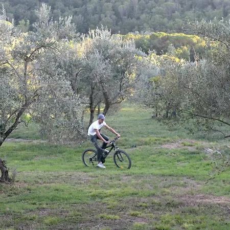 Agriturismo La Limonaia アパート インプルネータ